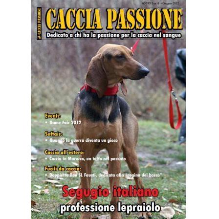 Rivista Caccia Passione Anno I - n°6 di Giugno 2012